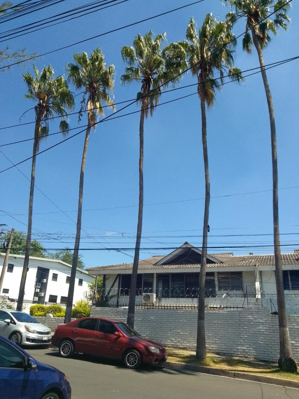 Comfort Home Escalon San Salvador Kültér fotó